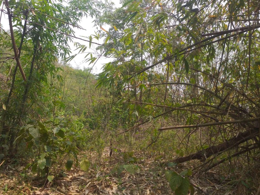 C:\Users\ADMIN\AppData\Local\Microsoft\Windows\Temporary Internet Files\Content.Word\IMG-20220620-WA0029.jpg